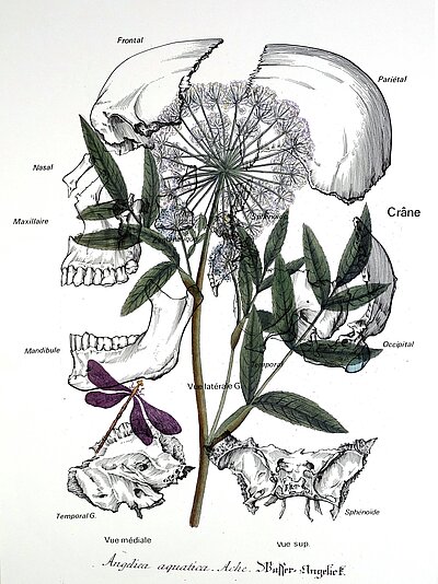 La Chute, histoire d'un châtiment silencieux