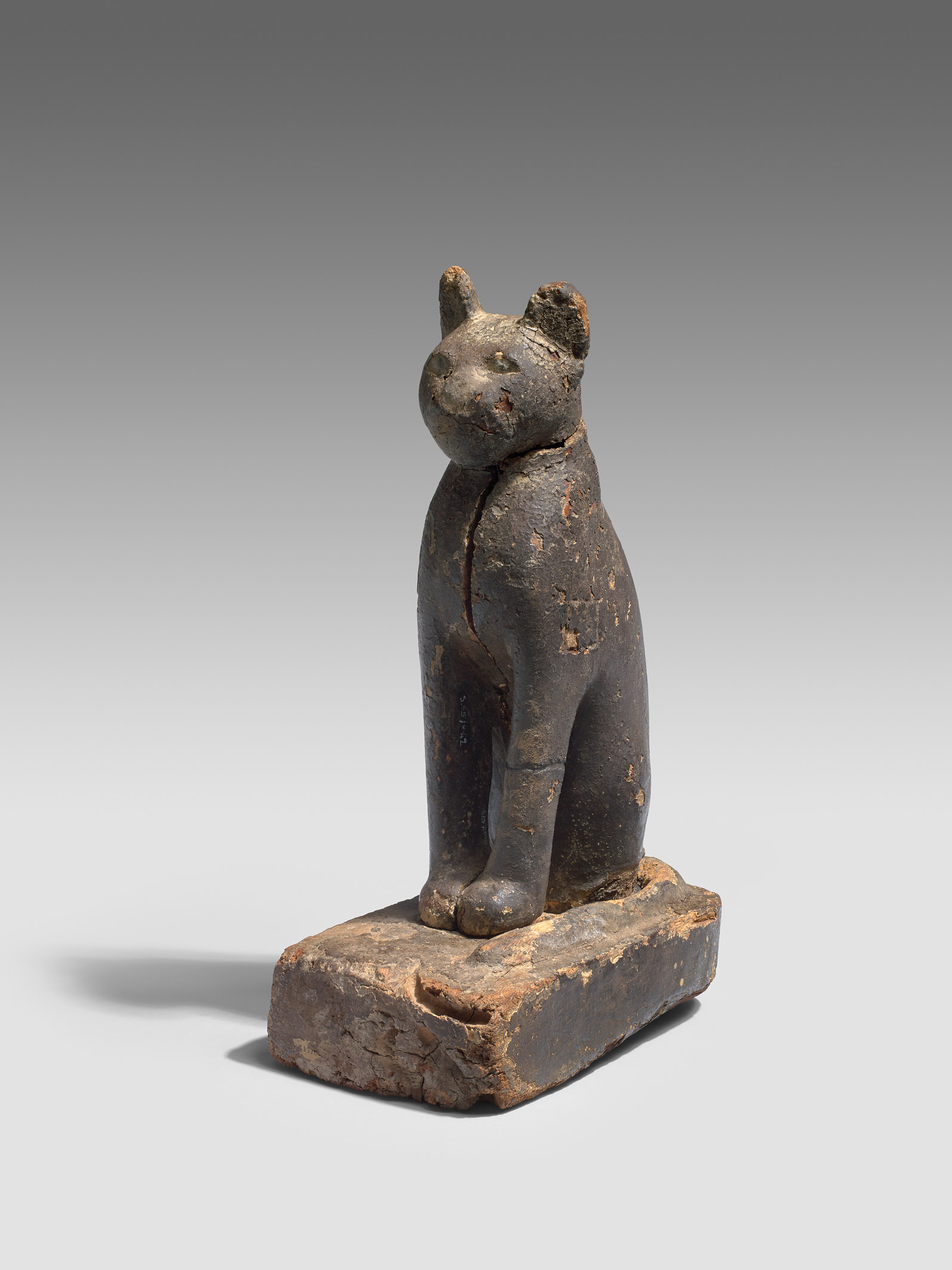 Cercueil de chatte